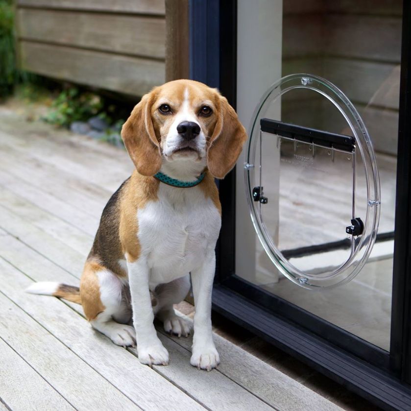 petdoors_1